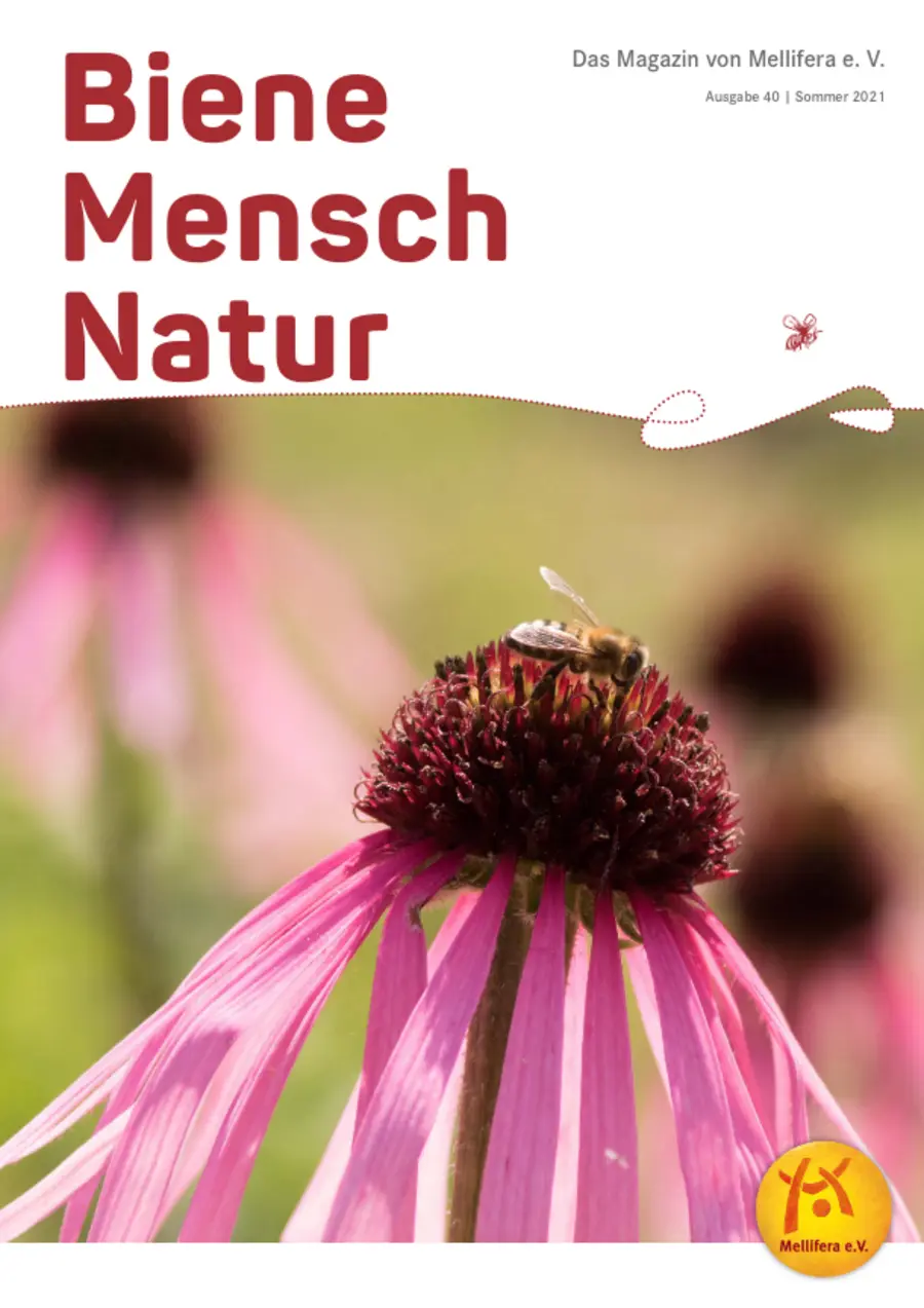 Cover von »Biene Mensch Natur« Ausgabe 40 | Sommer 2021