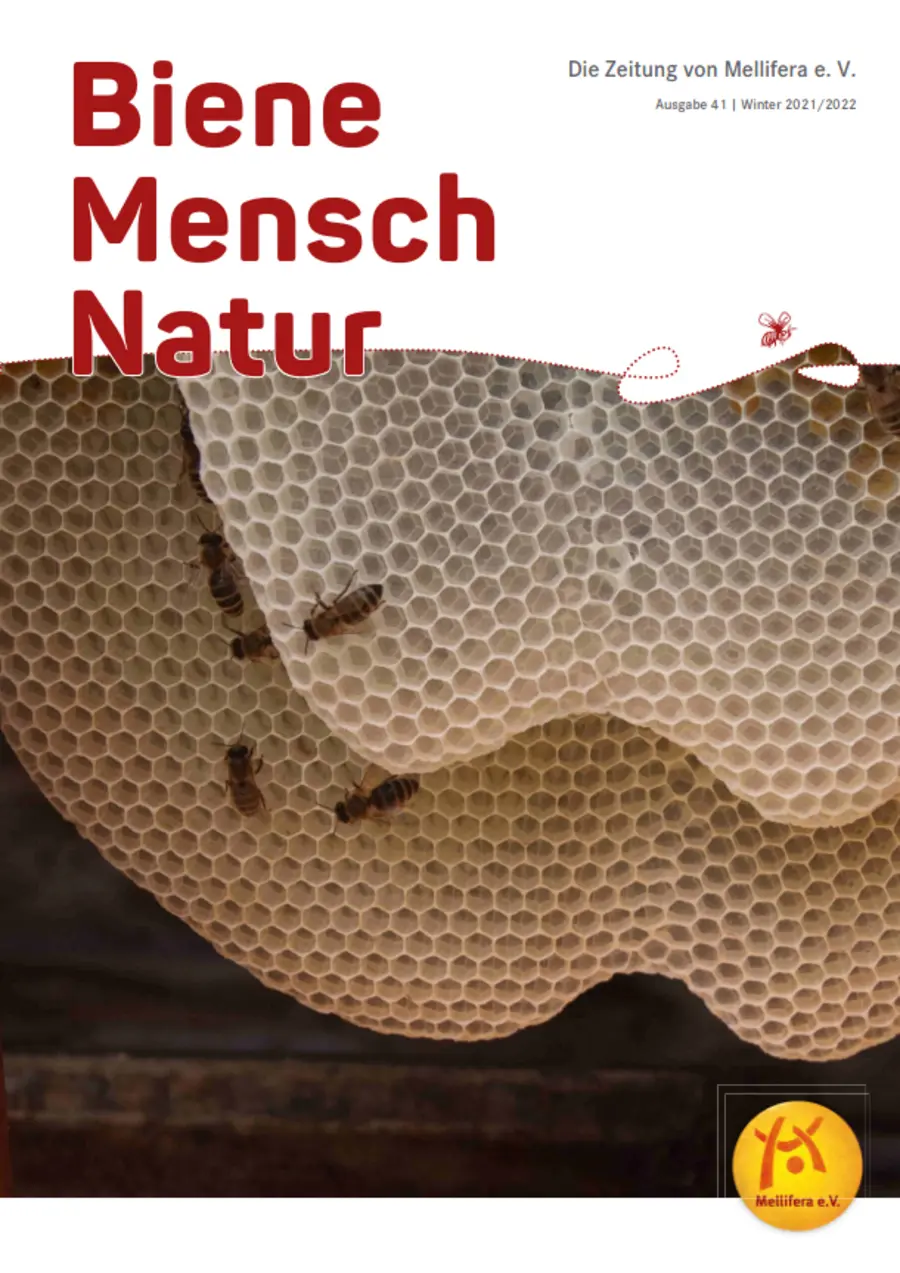 Cover von »Biene Mensch Natur« Ausgabe 41 | Winter 2021/2022