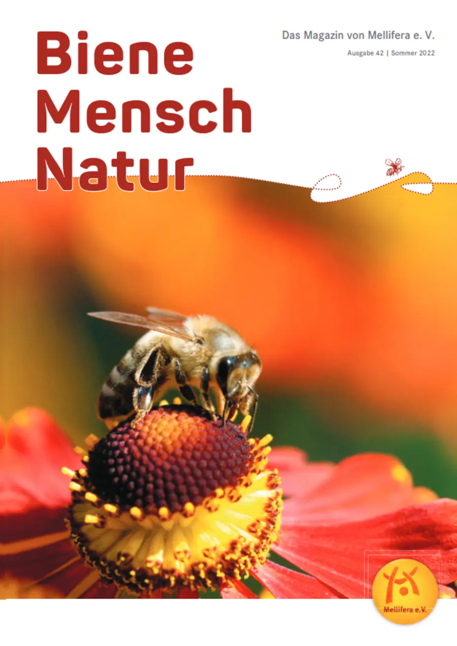 Cover von »Biene Mensch Natur« Ausgabe 42 | Sommer 2022