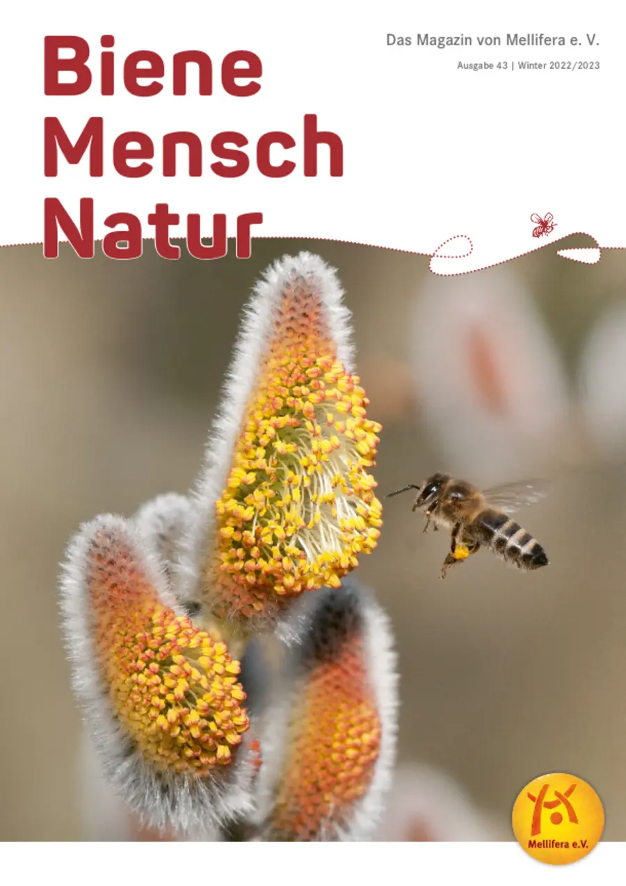 Cover von »Biene Mensch Natur« Ausgabe 43 | Winter 2022/2023