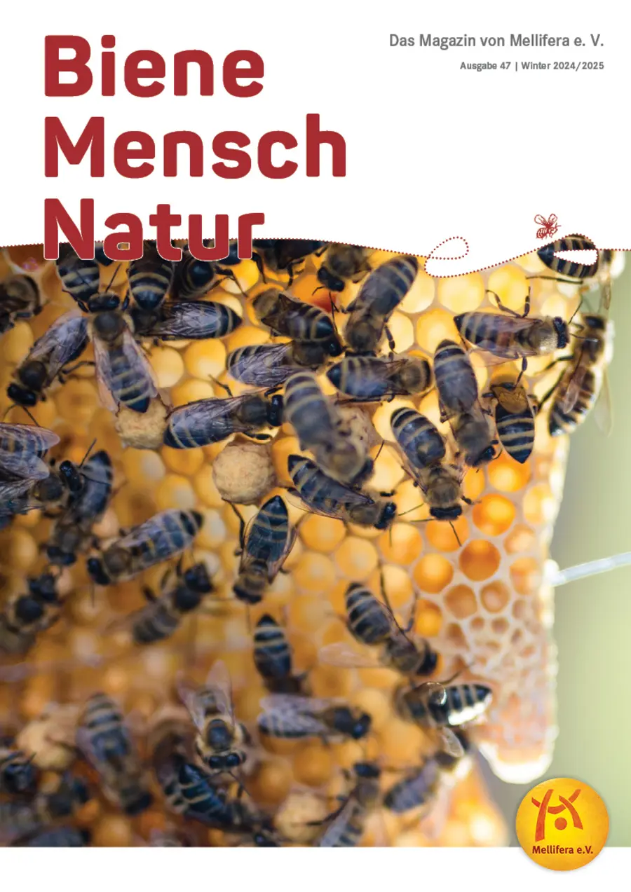 Cover von »Biene Mensch Natur« Ausgabe 47 | Winter 2024/2025