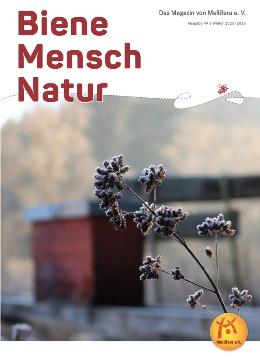 Cover von »Biene Mensch Natur« Ausgabe 49 | Winter 2025/2026