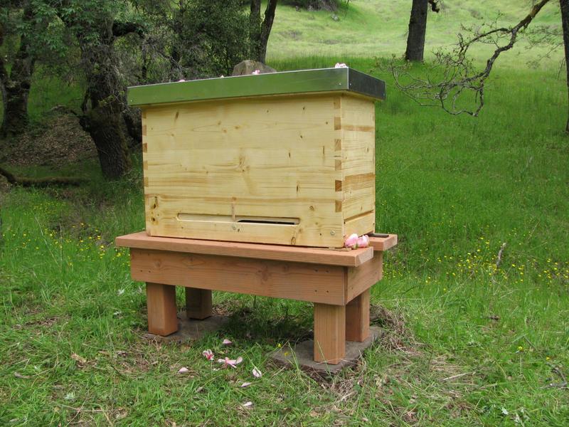  (Foto: Michael Joshin Thiele, www.gaiabees.com)