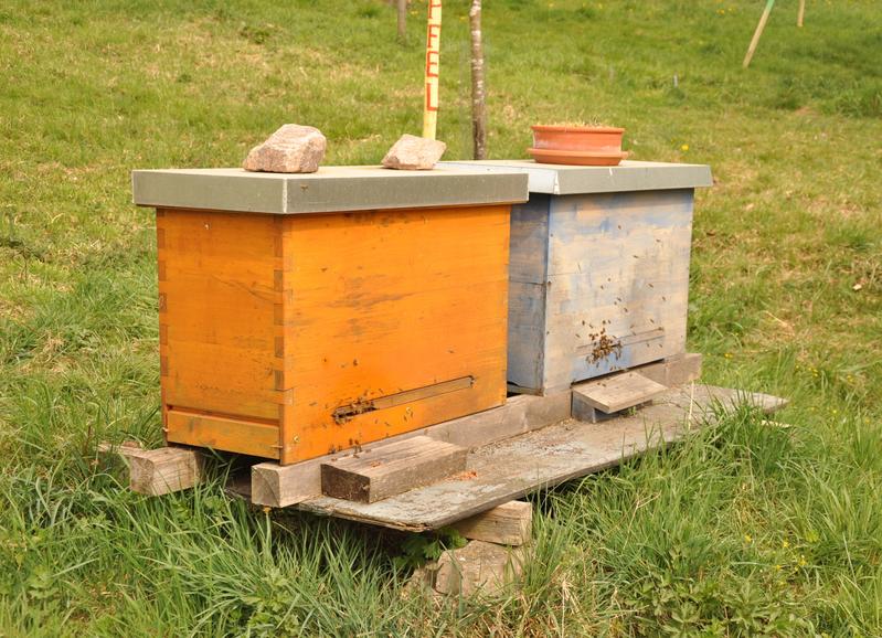  (Foto: Sarah Bude)