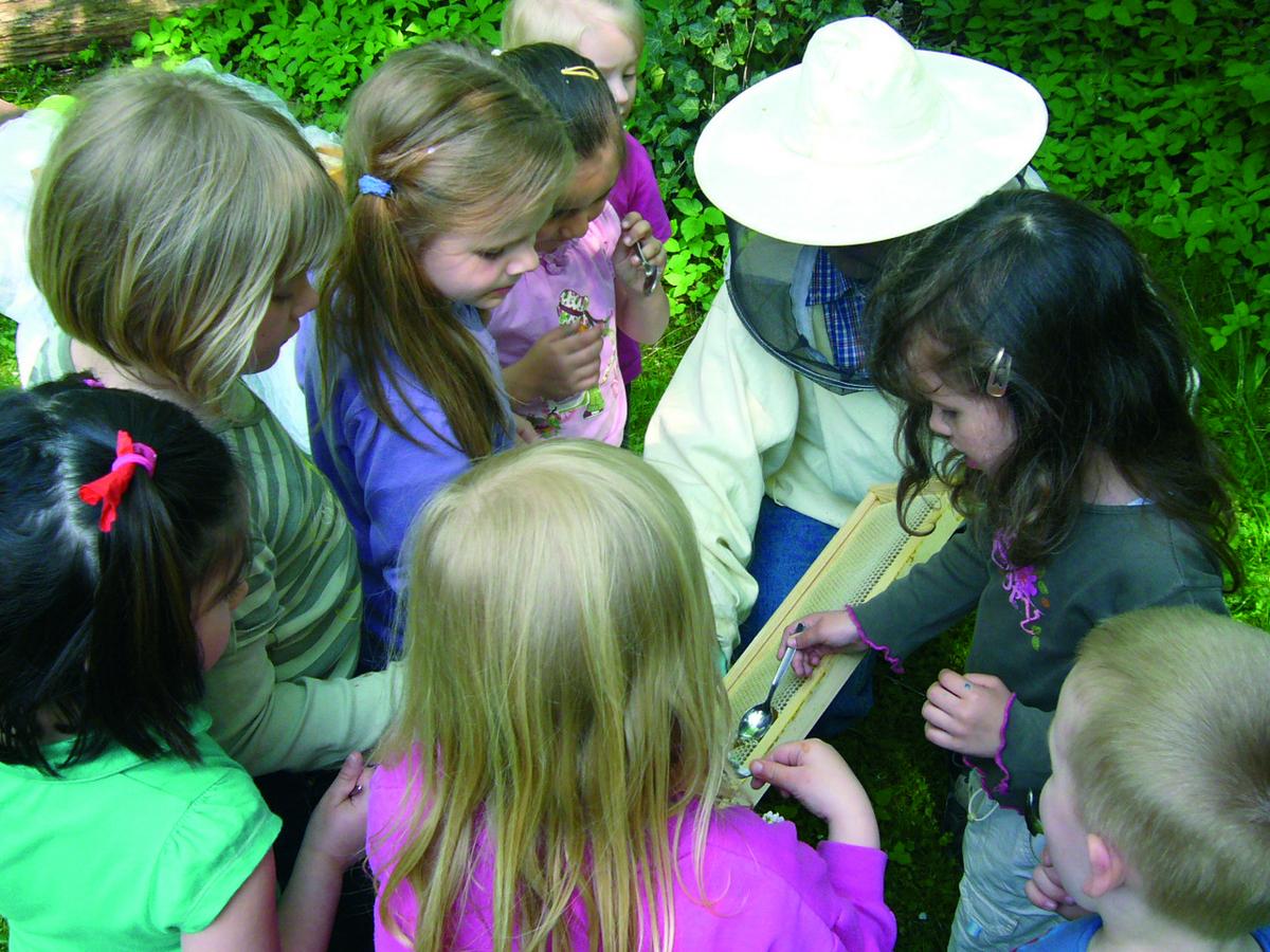 Honigprobe: Frisch aus der Wabe schmeckt der Honig am allerbesten. 