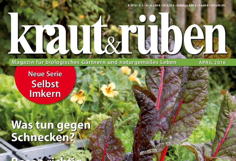  (Foto: mit freundlicher Genehmigung der Gartenzeitschrift kraut&r&uuml;ben, www.krautundrueben.de)