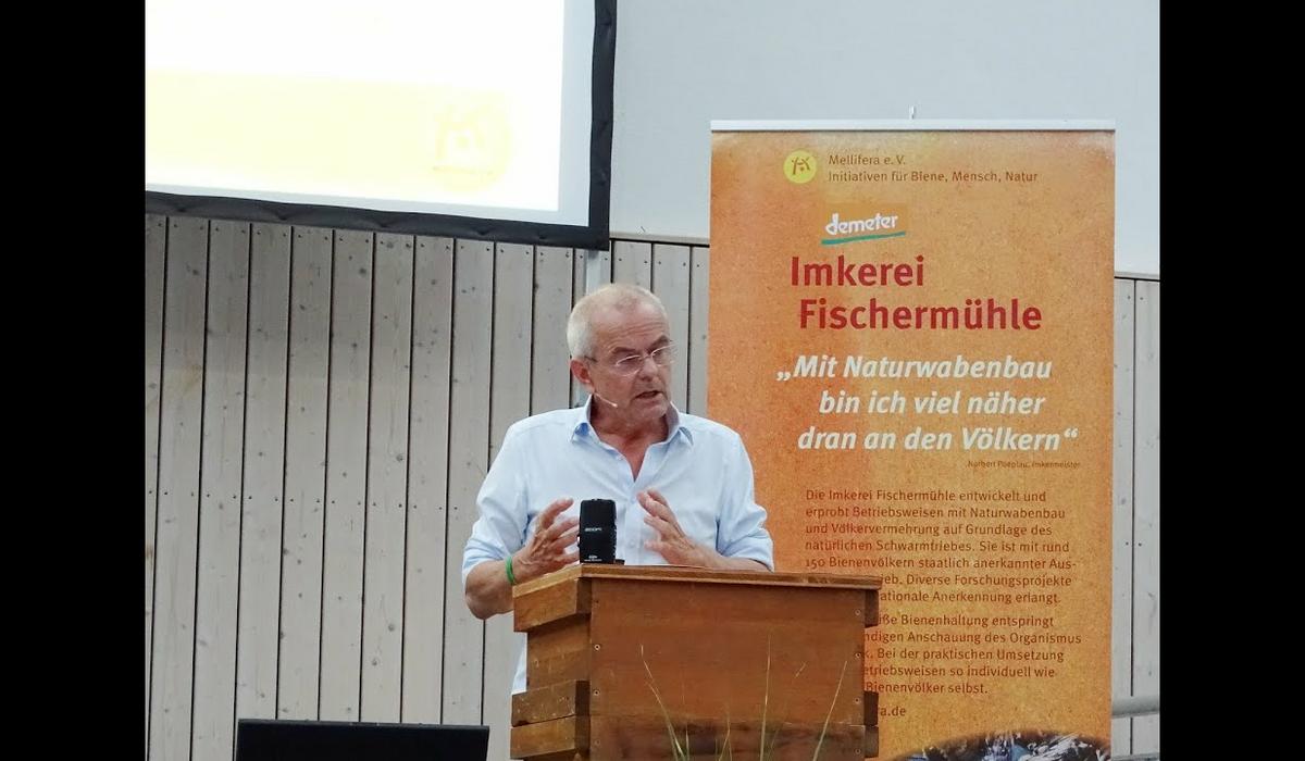 Youtube-Video
