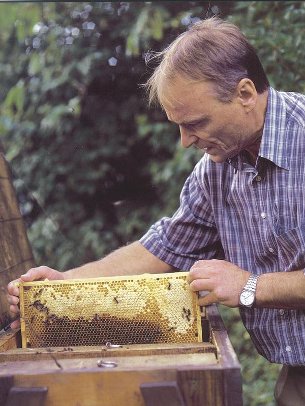 Prof. Menzel am Bienenstock (Foto: Theresa Müller)