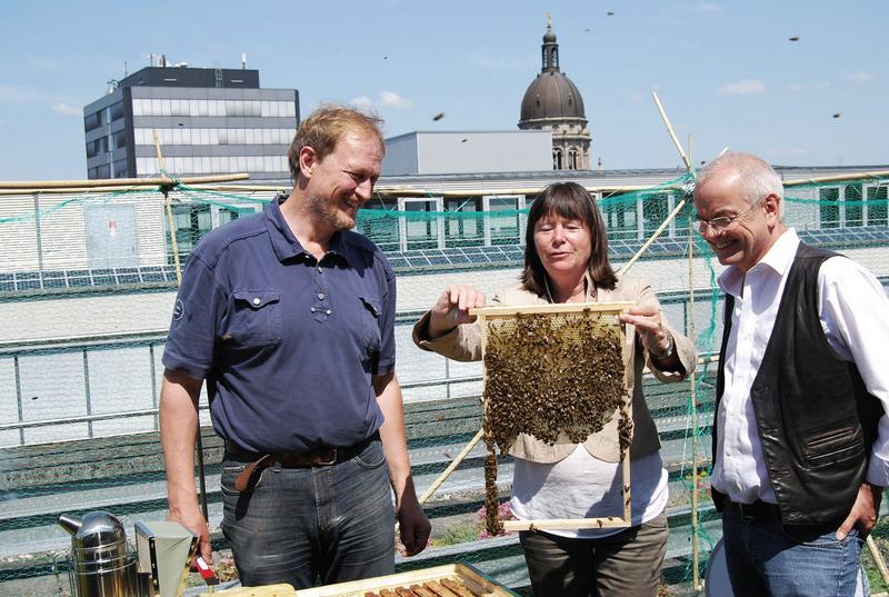 Ulrike H&ouml;fken (Mitte) bestaunt zusammen mit Thomas Radetzki (rechts) die Bienen auf dem Dach des Mainzer Umweltministeriums. 