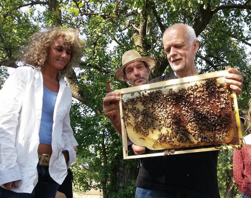 Ein Kernpunkt der wesensgem&auml;&szlig;en Bienenhaltung ist der Naturwabenbau im Brutraumbereich. Norbert Poeplau zeigt Interessierten dieses Wunderwerk der Natur. 