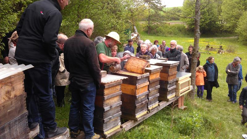 Gro&szlig;er Andrang beim &bdquo;Fest der Bienen&ldquo; im Mai 2014 