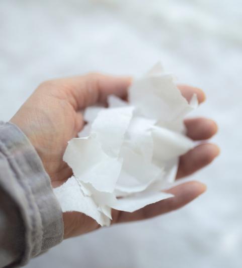 Das Papier in kleine St&uuml;cke zerteilen. (Foto: Michèle Brunnmeier)