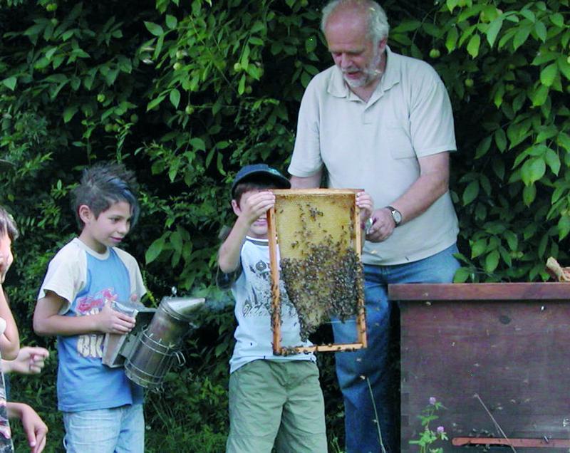 Sch&uuml;ler bestaunen unter der Anleitung von Norbert Poeplau ein Bienenvolk. 