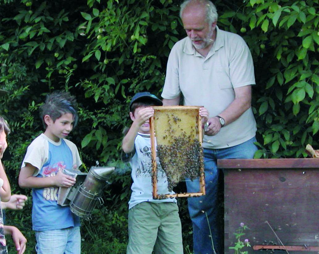 Sch&uuml;ler bestaunen unter der Anleitung von Norbert Poeplau ein Bienenvolk. 