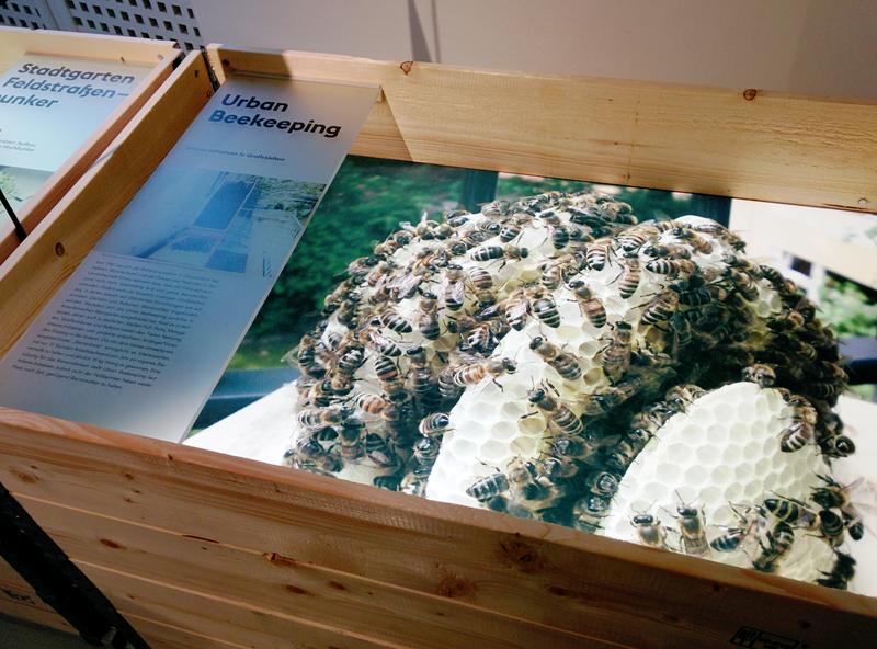 Bienenkiste mal anders: Exponat in Ausstellung Stadtgr&uuml;n 3.0 