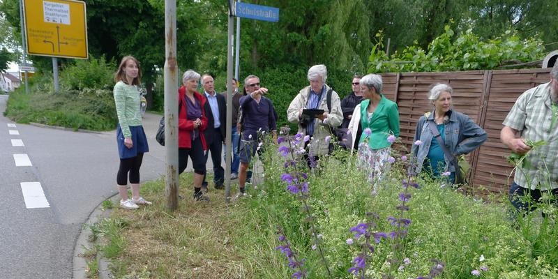 Führung mit dem Stadtgärtner: Exkursionen zu gelungenen Beispielen dienen zum Erfahrungsaustauschen und helfen, Vorbehalte abzubauen. (Foto: Barbara Heydenreich)