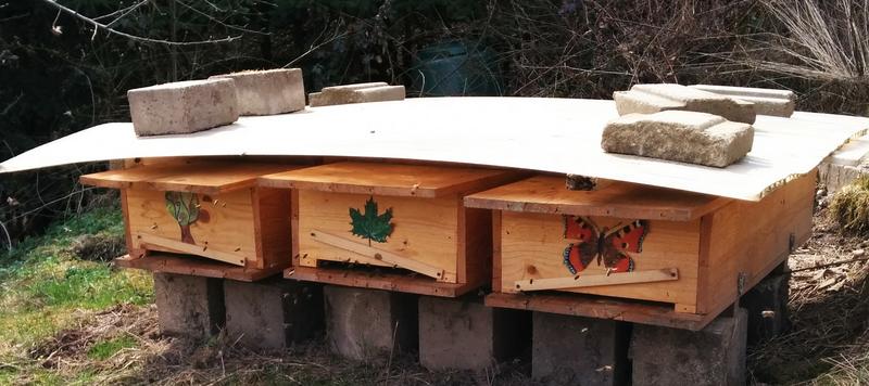 Bienenstand von Sarah und Daniel in Tharandt 