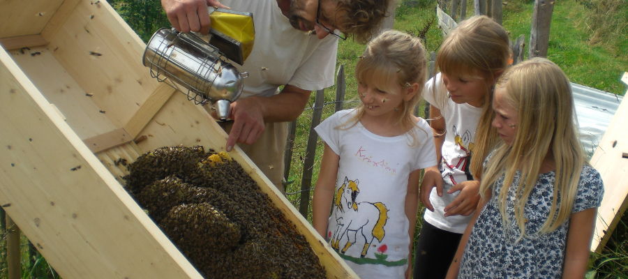 Bienenkiste