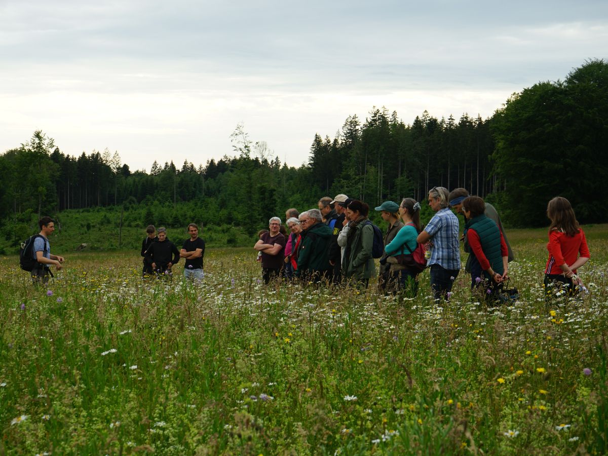 zum Netzwerk Blühende Landschaft Unterwegs durch das Bunte Grünland.