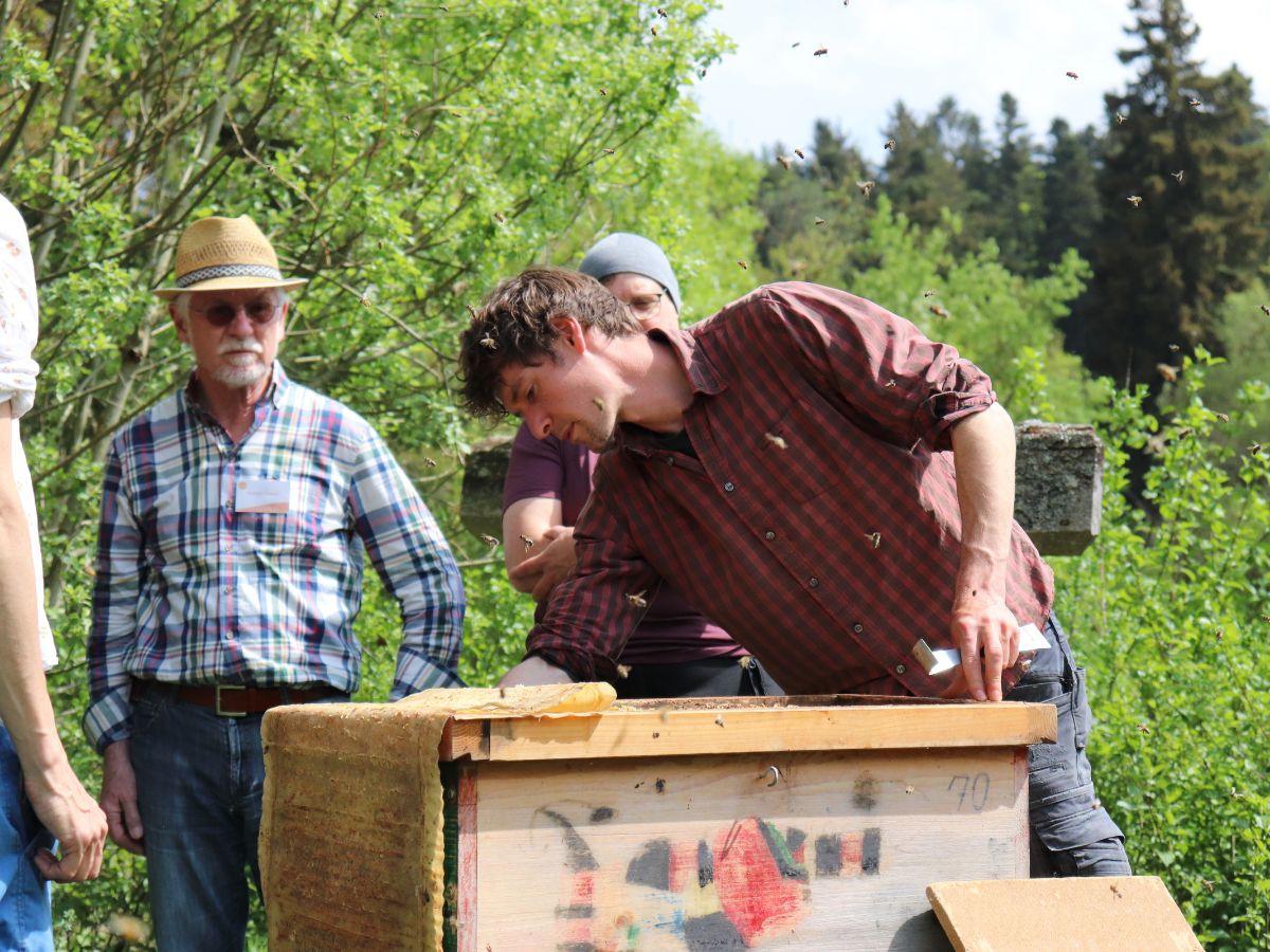 zur Wesensgemäßen Bienenhaltung Seminar bei den Bienen.