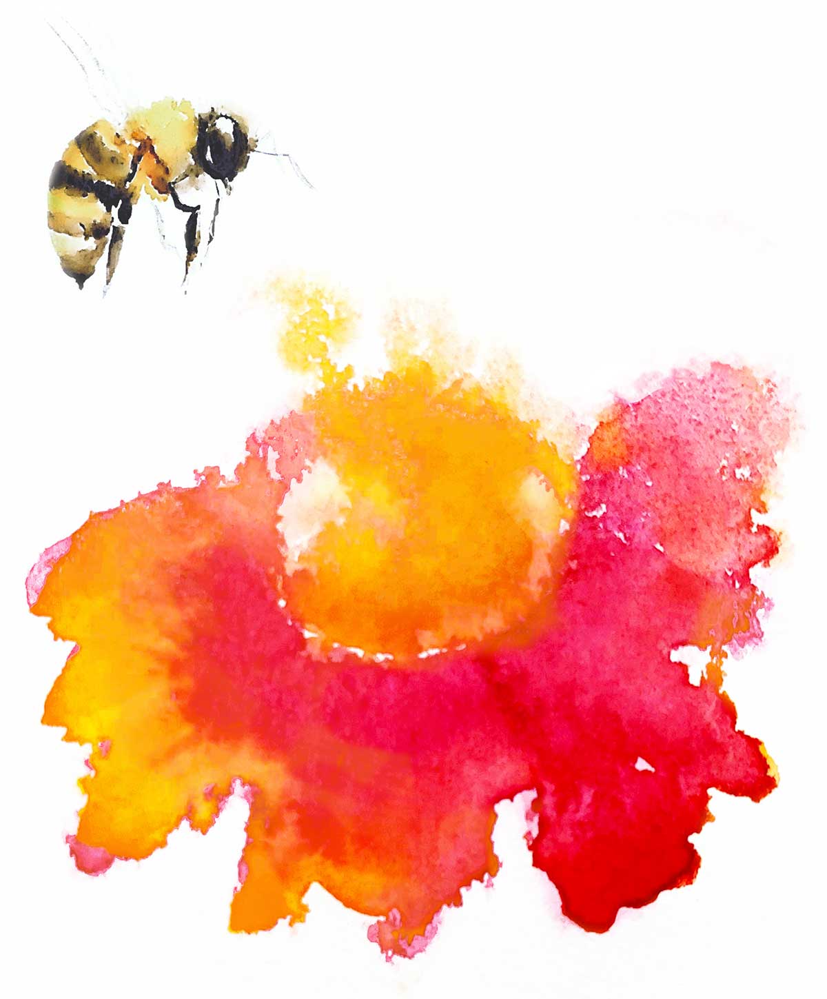 Biene Anflug auf Blüte